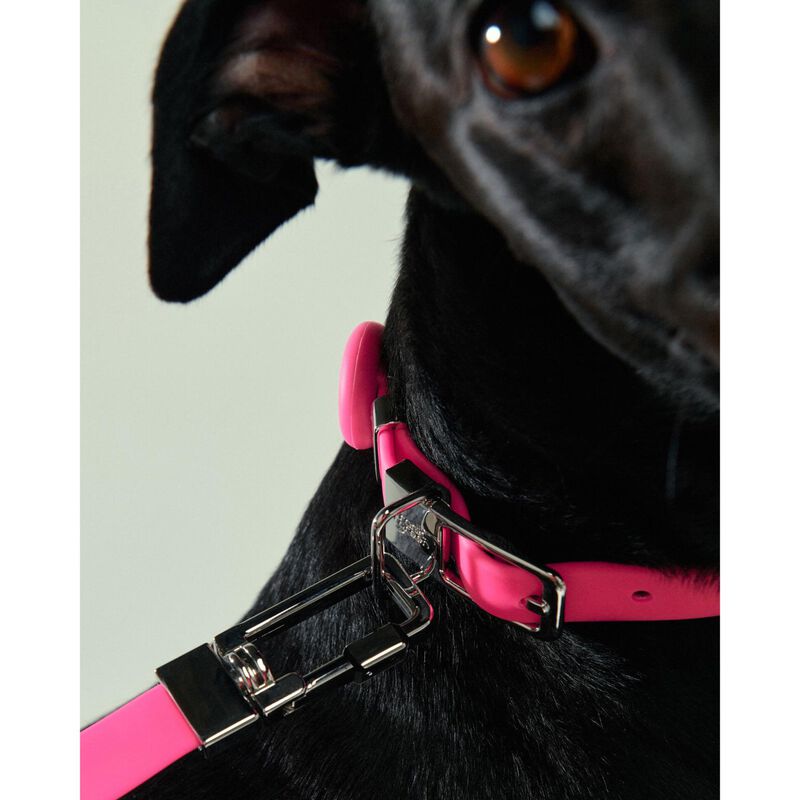 frank green Pet Leash (Base & Handle) image number 2
